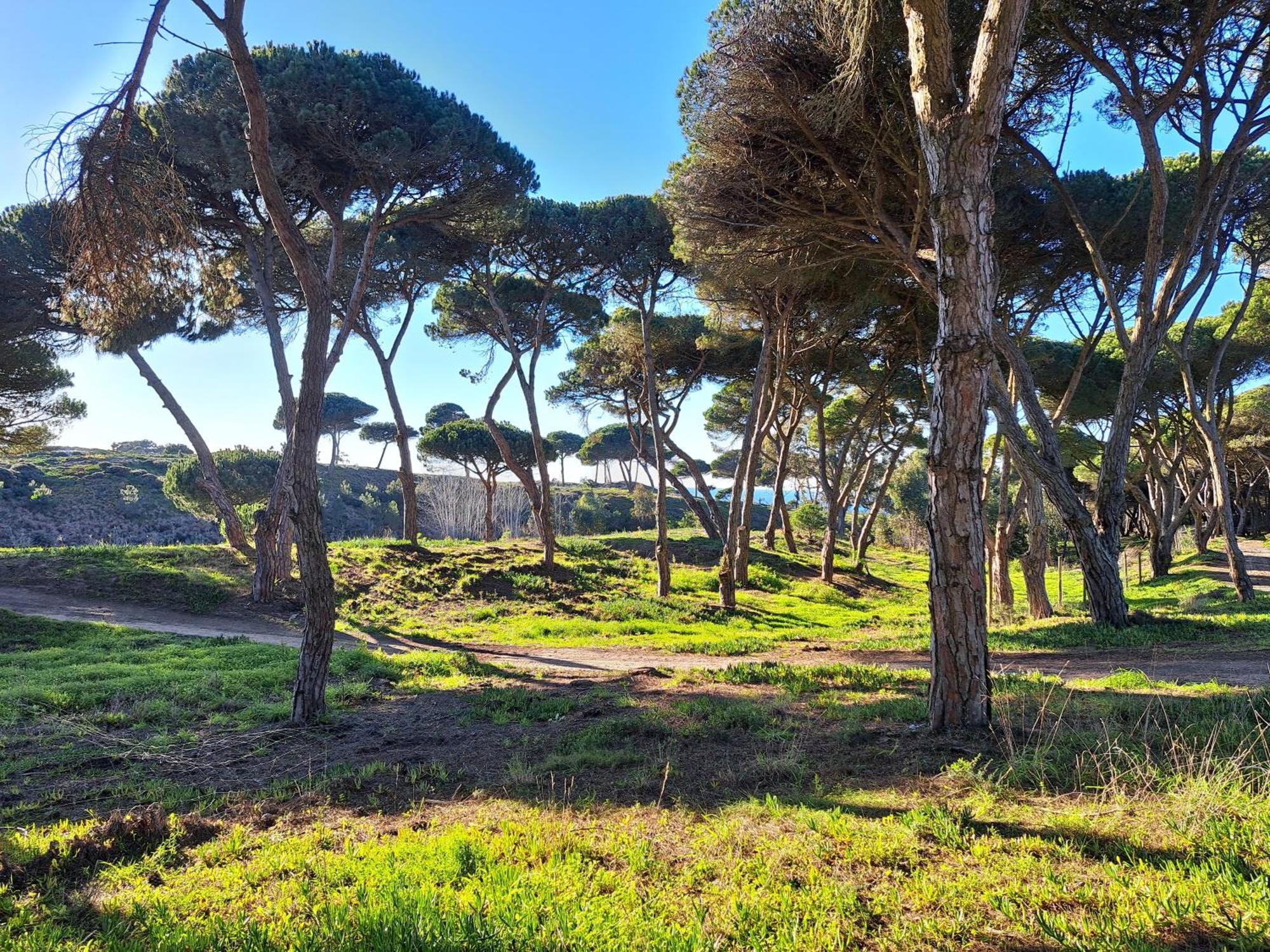 Sea Wave Sounds, Meco, By The Beach Sesimbra Exterior foto